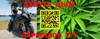 Альфа ПВП Ставрополь