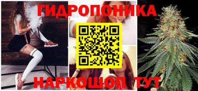 Альфа ПВП Ставрополь