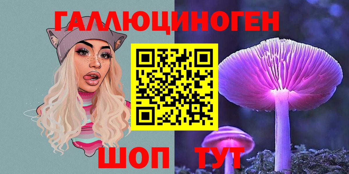 Галлюциногенные грибы Psilocybe  Вход с VPN  Ноябрьск 